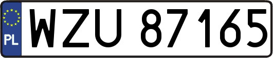 WZU87165