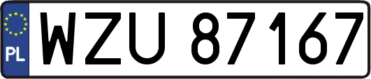 WZU87167