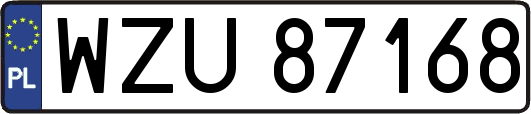 WZU87168