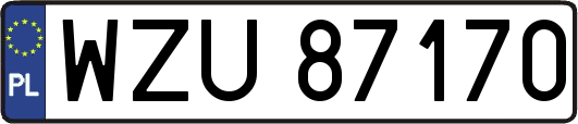WZU87170