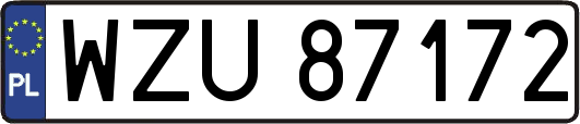 WZU87172