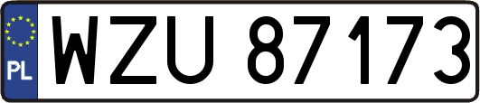 WZU87173