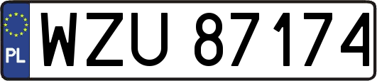 WZU87174