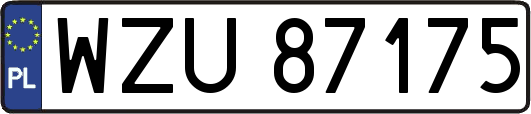 WZU87175