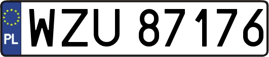 WZU87176