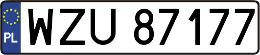 WZU87177