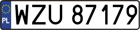 WZU87179