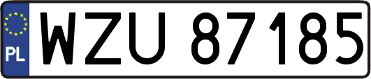 WZU87185