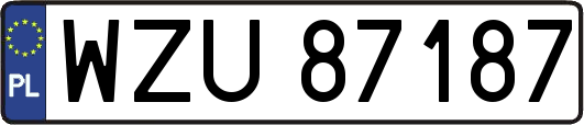 WZU87187