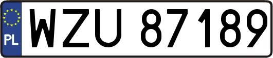 WZU87189