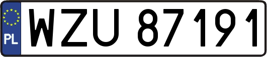 WZU87191