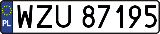 WZU87195