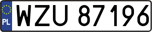 WZU87196