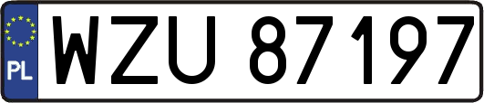 WZU87197