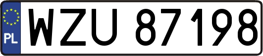 WZU87198