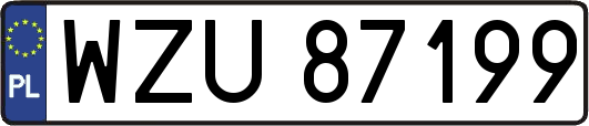 WZU87199