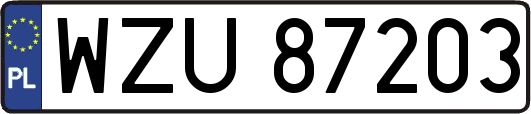 WZU87203