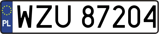 WZU87204