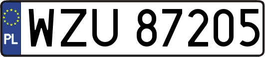WZU87205