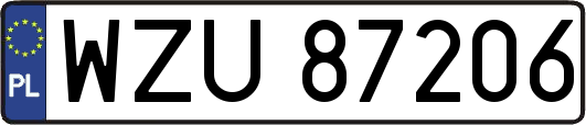 WZU87206