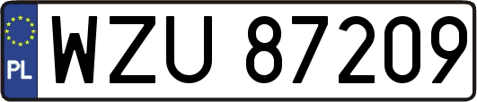 WZU87209