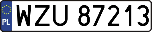 WZU87213