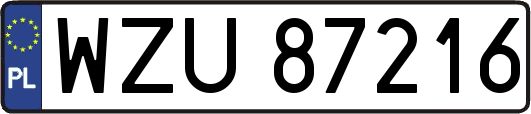 WZU87216