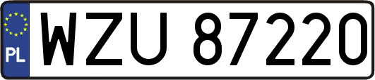 WZU87220