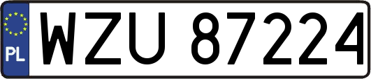 WZU87224