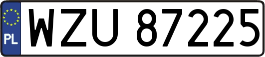 WZU87225