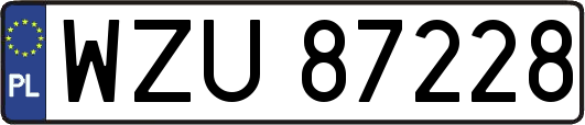 WZU87228