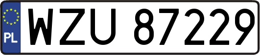 WZU87229