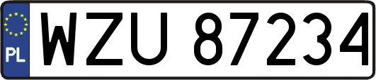 WZU87234