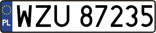 WZU87235