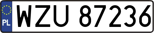 WZU87236