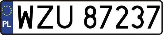WZU87237