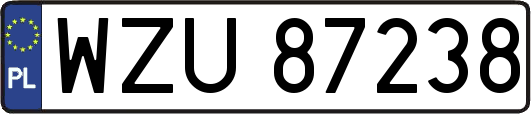 WZU87238