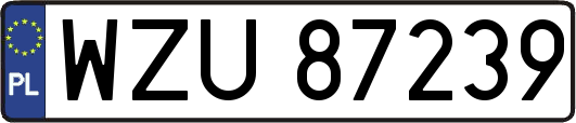 WZU87239