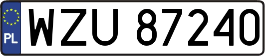 WZU87240