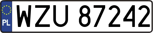 WZU87242