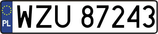 WZU87243