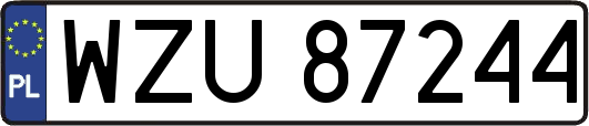 WZU87244
