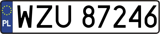 WZU87246