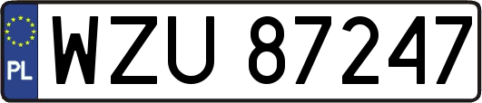 WZU87247