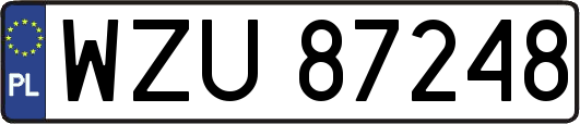WZU87248