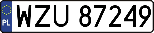 WZU87249