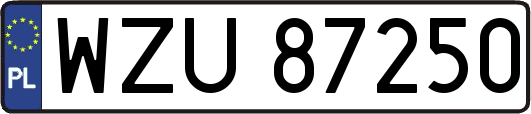 WZU87250