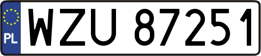 WZU87251
