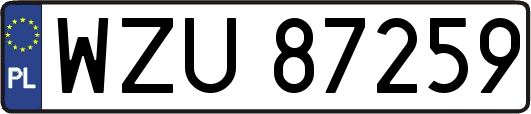 WZU87259