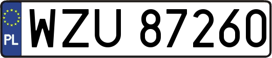 WZU87260